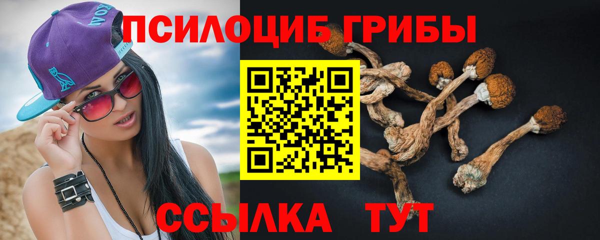 Галлюциногенные грибы GOLDEN TEACHER  Галлюциногенные грибы Psilocybe  Вход с VPN  Вятские Поляны 
